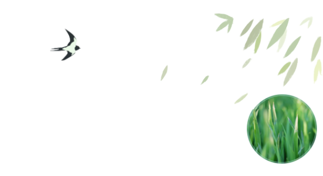 员工随笔丨抗“疫”过年，各人都还好吗？