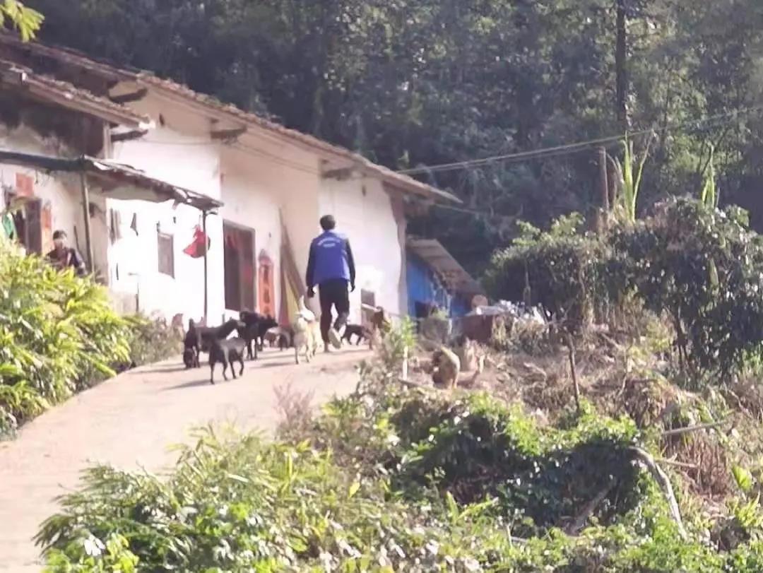 阳春房地一体项目纪实丨无悔青春多砥砺，最是奋斗动人心