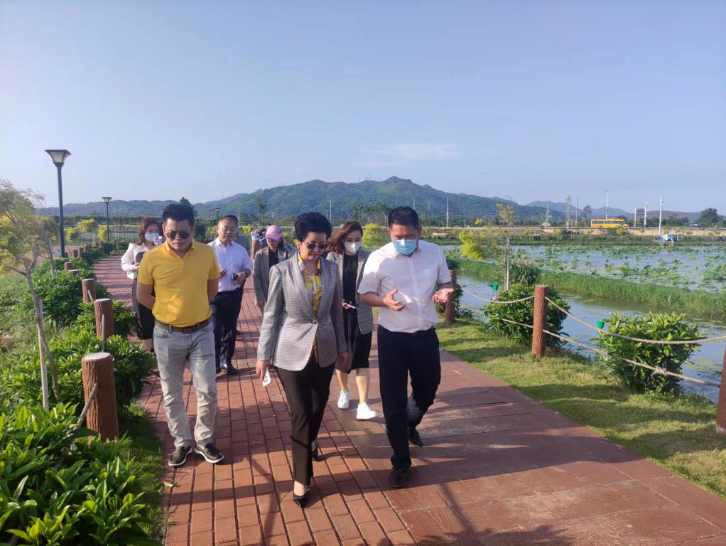 省生态建复协会轮值会长单元bifa必发集团集团带队赴汕尾全域地皮整治军民融合试点项目调研