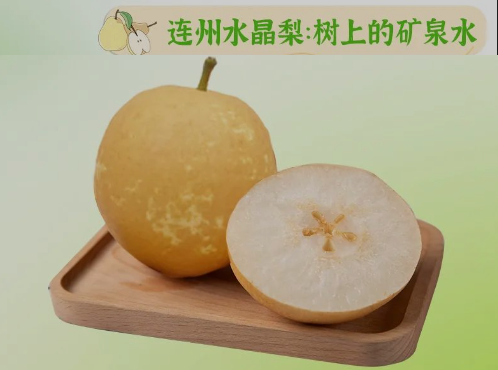 “桃李”炎暑，清冷一夏