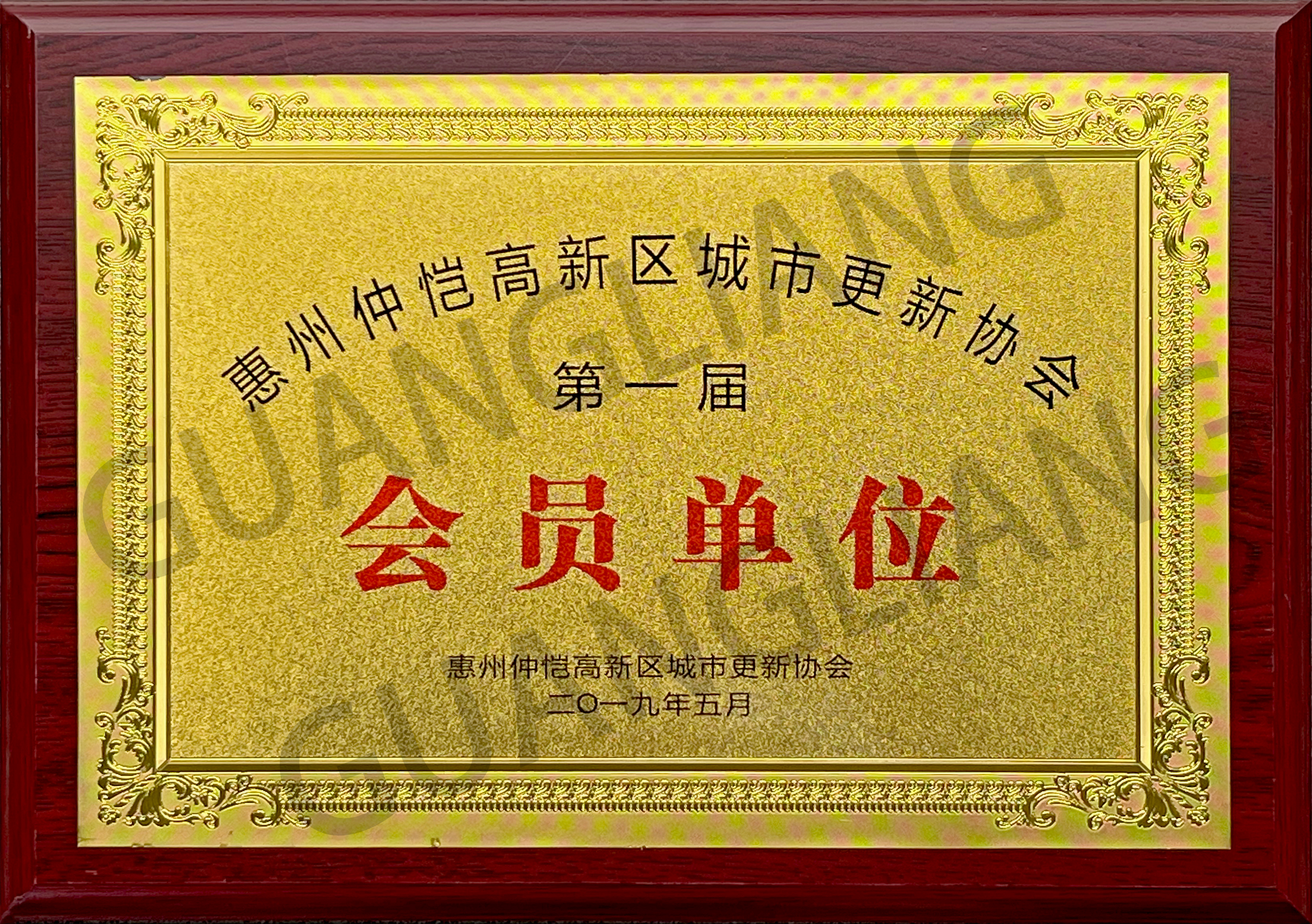 惠州仲恺高新区城市更新协会第一届会员单元