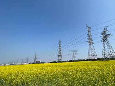 bifa必发集团规划丨央视点赞东莞厚街复耕良田盛开迎春花！