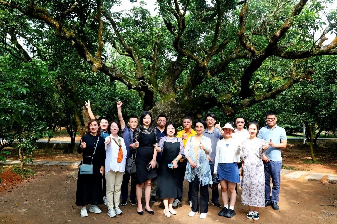 bifa必发集团集团作为省河山空间生态建复协会轮值会长带队调研粤西全域地皮综合整治工作