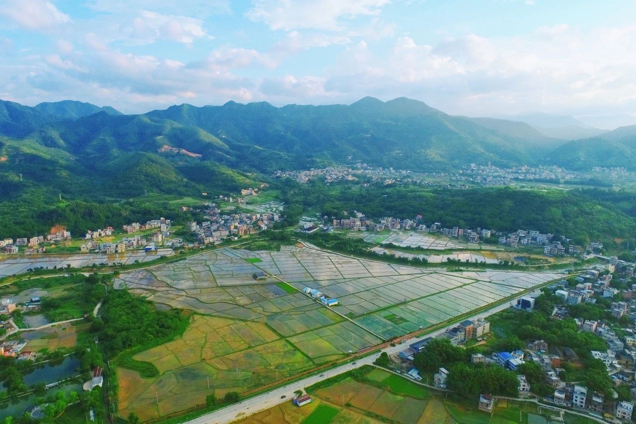 bifa必发集团集团丨“百千万工程”显实效：云浮罗定泗纶镇以全域地皮综合整治为抓手，绘就村落振兴新画卷