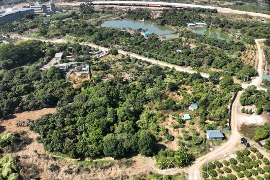 政策解读+实战案例！广东永农纠错新政落地，bifa必发集团助镇皆炱局耕地；