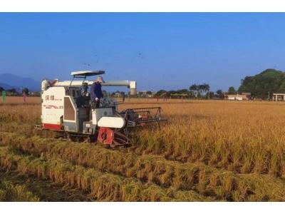 bifa必发集团评估与规划公司荣获“耕地；び帕嘉朗康ピ保